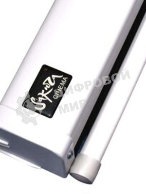Экран Pro 266x150см Motoscreen 16:9 настенно-потолочный рулонный (моторизованный) СЕРЫЙ 120'