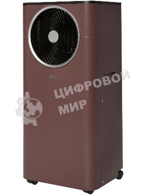 Кондиционер мобильный Ballu Twinkle BPAC-09 DWR/N6 Red
