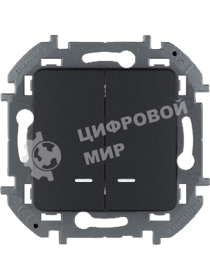 Выключатель 2-клавишный с подсветкой/индикацией 10AX 250 В антрацит