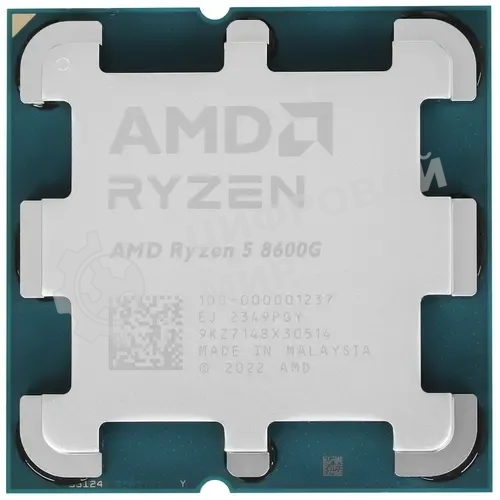 Процессор AMD Ryzen 5 8600G Soc-AM5 4.3GHz OEM
