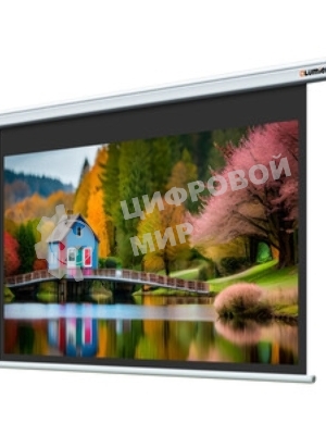 Экран с электроприводом Lumien Master Control 174х240 см (раб. область 130х232см) (104