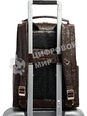 Рюкзак женский Piquadro Patricia CA6772W140/M коричневый натур.кожа