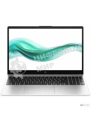 Ноутбук HP 250R G10/15.6