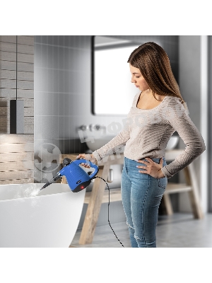 Универсальный пароочиститель Endever Odyssey Q-443, черный/синий, 900 Вт, 3.5 бар, 28 г/мин