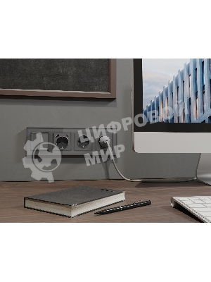 Комплект механизма электрической розетки ALFA Антрацит серый 2USB A+C 20W (быстрая зарядка) с/з QUANT (AP6600, VM160) MA660010