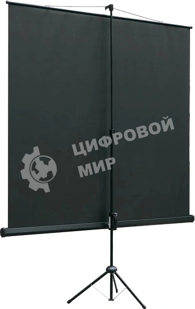 Экран на штативе Lumien LEV-100116 Eco View 120х120см (67