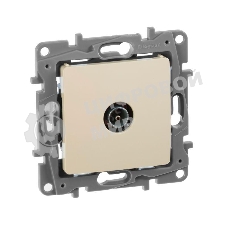 Розетка телевизионная TV Звезда сл. кость ETIKA