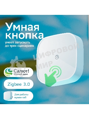 Умная кнопка СБЕР/SBER (SBDV-00032) 