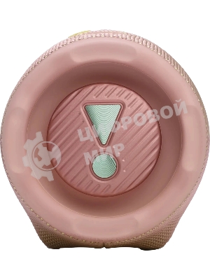Портативная акустика JBLCHARGE6PINK розовый