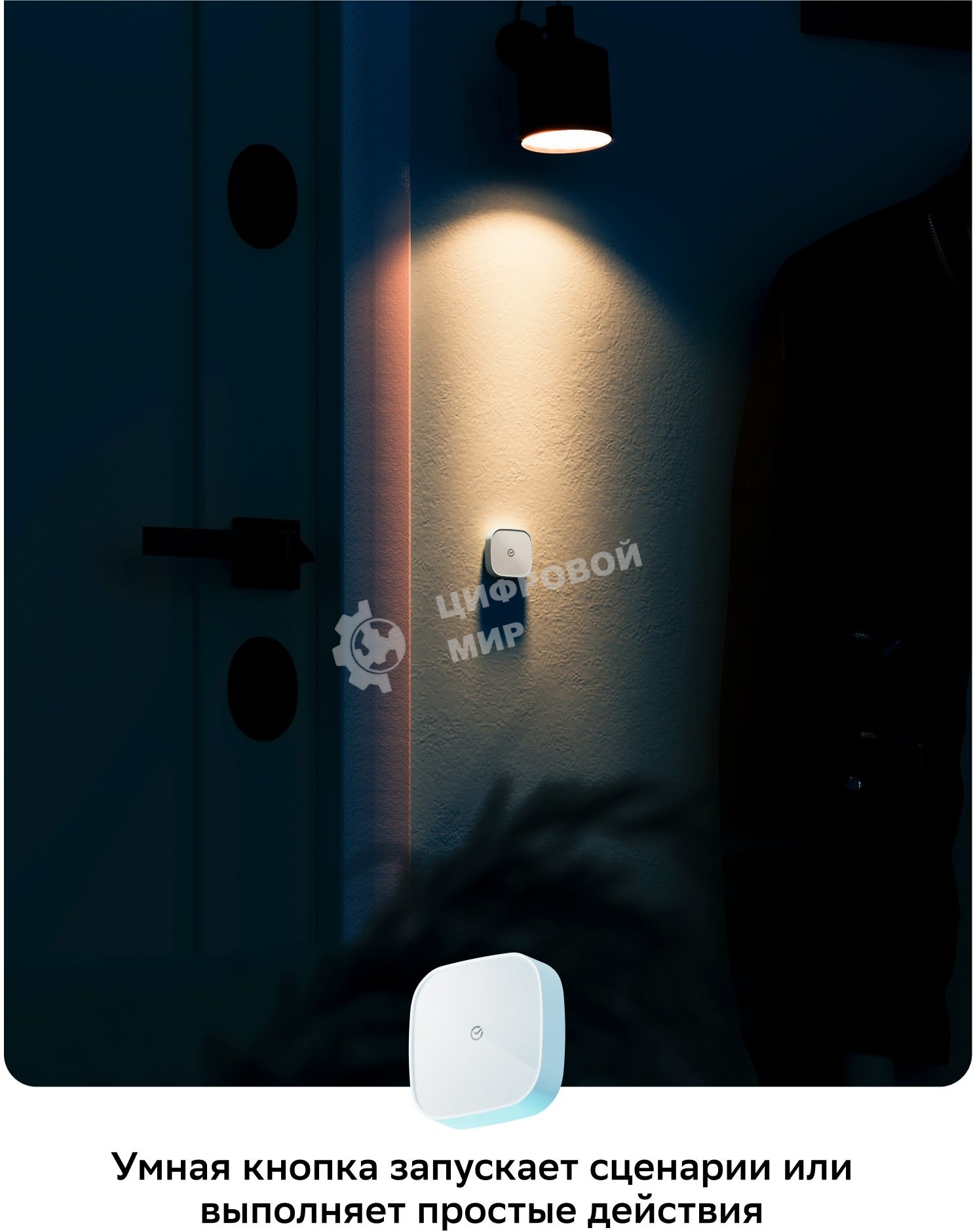 Умная кнопка СБЕР/SBER (SBDV-00032) 