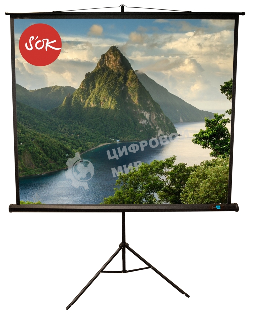 Экран 180x180см TriScreen 1:1 напольный рулонный черный 100'