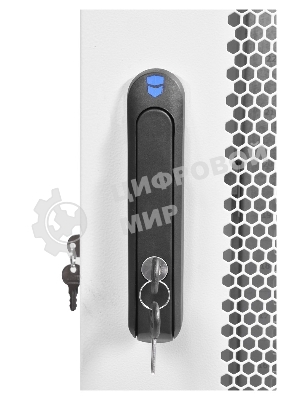 Шкаф телекоммуникационный напольный 42U (800x1000) дверь перфорированная (3 места), ШТК-М-42.8.10-4ААА