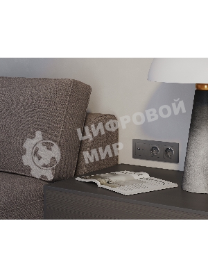 Комплект механизма розетки ALFA Антрацит серый 2USB A+C 20W (быстрая зарядка) QUANT (AP6610, VM177) MA661010