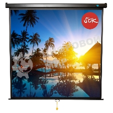 Экран 180x180см Wallscreen 1:1 настенно-потолочный рулонный черный 100'