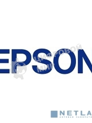 Расходные материалы EPSON C13T619100 Stylus Pro 4900 Borderless Maintenance box
