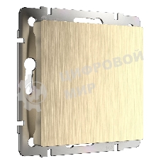 Заглушка Werkel W1159210 (шампань рифленый)