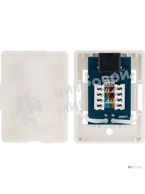 Розетка компьютерная внешняя Rexant 1-порт RJ-45 (8P8C), UTP неэкранированная, категория 6