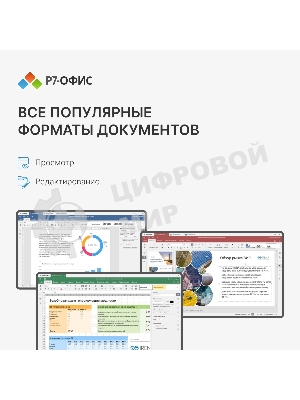 Офисное приложение Р7-Офис Для Малого бизнеса (R7DT.RTL.15.1Y.BE)