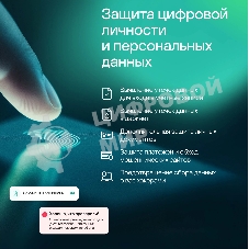 Программное обеспечение Kaspersky Standard. 1-Device 1 year Base Card (KL1041ROAFS)