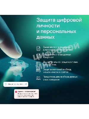 Программное обеспечение Kaspersky Standard. 1-Device 1 year Base Card (KL1041ROAFS)