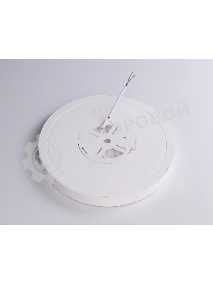 Светильник светодиодный ультратонкий Ambrella light FZ1901 WH белый IP54 13W 3000K-6500K CCT-переключатель D230*25 (Без ПДУ)