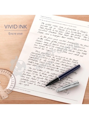 Стержень роллер Waterman (CW1964019) F 0.5мм, черные чернила, блистер