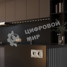 Рамка на 2 поста Senso (шампань, стекло soft-touch)