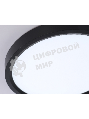 Светильник светодиодный ультратонкий Ambrella light FZ1902 BK черный IP54 13W 3000K-6500K CCT-переключатель D230*25 (Без ПДУ)