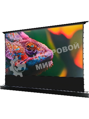 Экран Cactus 125x221 см FloorRising CS-PSFRCLR-221X125 16:9 напольный рулонный черный (моторизованный привод)