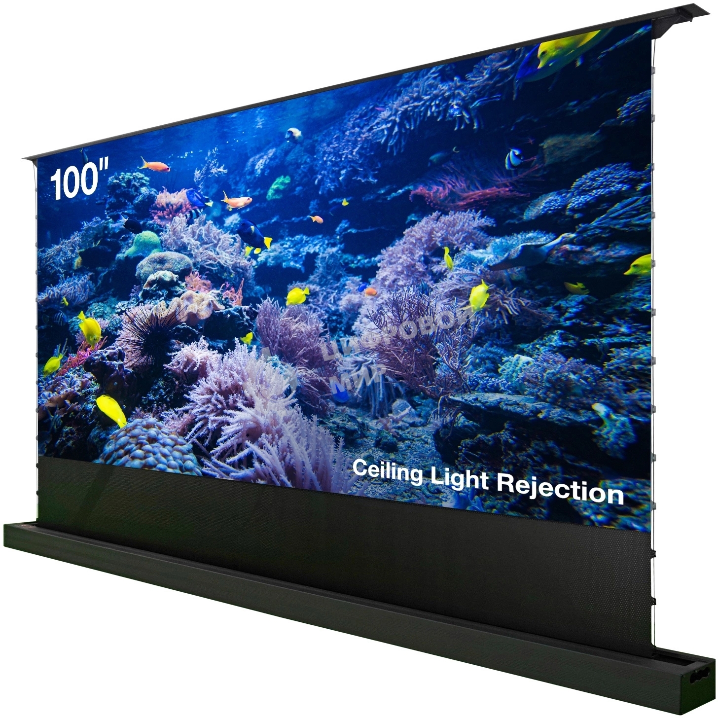 Экран Cactus 125x221 см FloorRising CS-PSFRCLR-221X125 16:9 напольный рулонный черный (моторизованный привод)