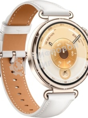 Умные часы Huawei Watch GT 6 ATM-B19, 1.47