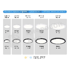 Светильник светодиодный ультратонкий Ambrella light FZ1902 BK черный IP54 13W 3000K-6500K CCT-переключатель D230*25 (Без ПДУ)