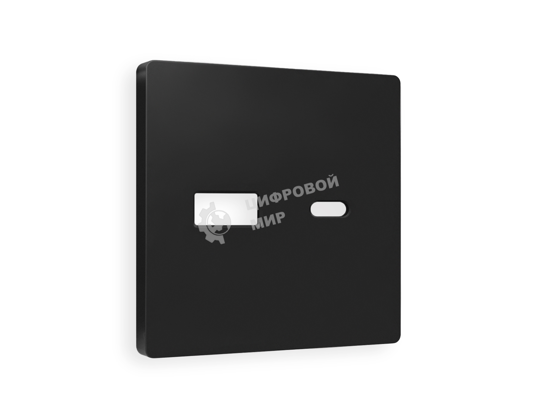 Лицевая панель ALFA (Черный матовый) для розетки 2USB тип A+C QUANT AP8110