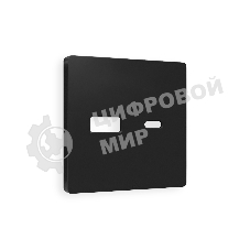 Лицевая панель ALFA (Черный матовый) для розетки 2USB тип A+C QUANT AP8110