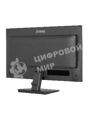 Монитор Iiyama 23.8
