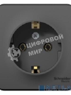 Розетка ОП Blanca 16А 250В без шторок c заземл. изол. пласт. антрацит SchE BLNRA010116