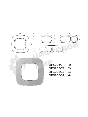 Рамка OMEGA Radian (Сталь Стекло органическое) 2-ая OF320502