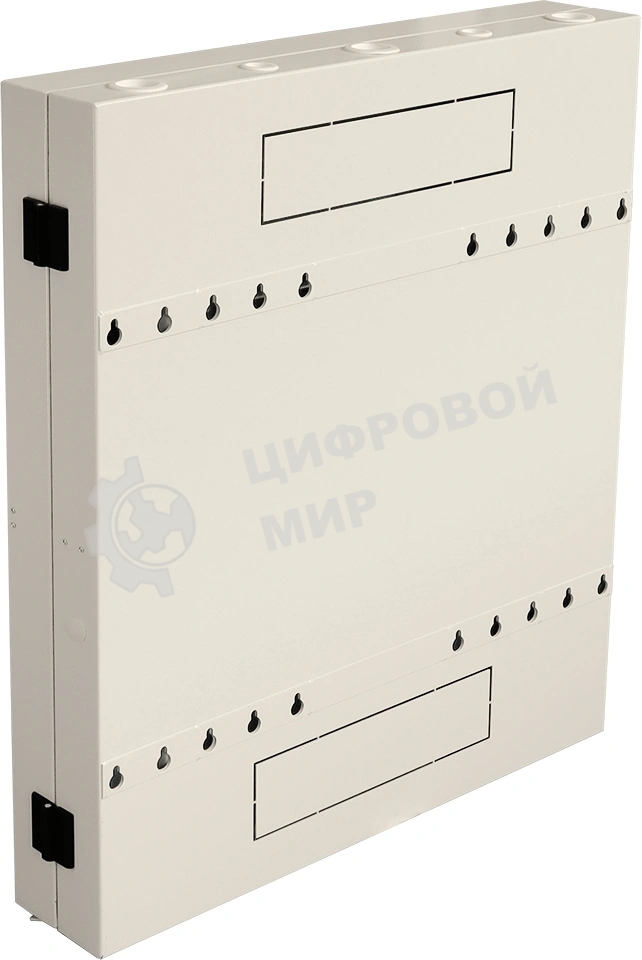 Шкаф коммутационный Lanmaster (TWT-CBVRT-2U-6X7-GY) настенный 2U 650x114мм пер.дв.стекл направл.под винты 68кг серый 19кг 741мм