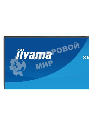 Монитор Iiyama 23.8