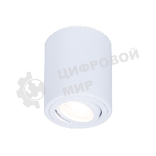 Светильник Ambrella light TN225 WH белый GU5.3 D80*100