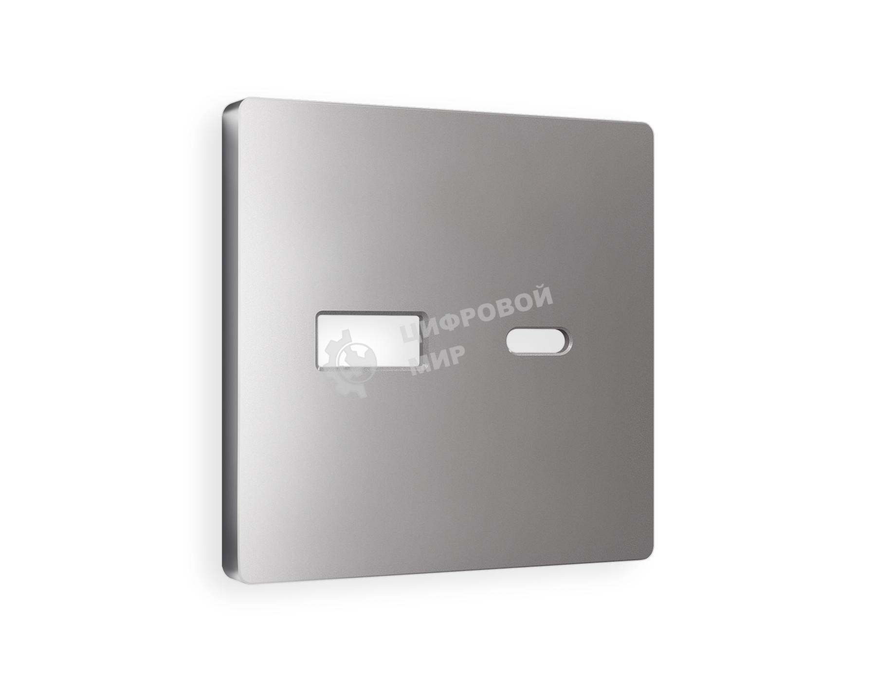 Лицевая панель ALFA (Сталь матовый) для розетки 2USB тип A+C QUANT AP5110