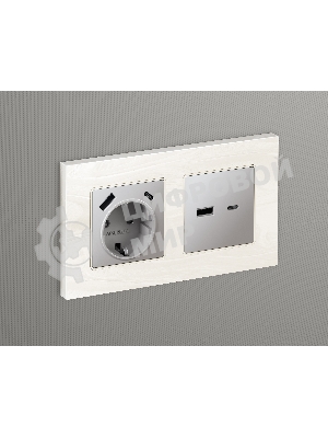 Лицевая панель ALFA (Сталь матовый) для розетки 2USB тип A+C QUANT AP5110
