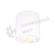 Накладной точечный поворотный светильник TN22701 WH белый GU5.3 D80*84