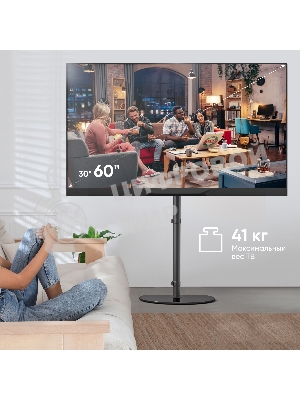 Стойка для телевизора ONKRON TS5060 с кронштейном 30