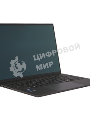 Ноутбук ASUS UX5406SA-PV058W 14