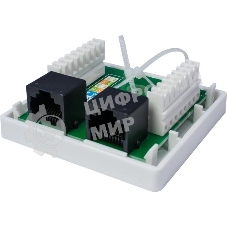 Розетка компьютерная 2-м 8P8C (RJ-45) UTP кат.5E SUPRLAN 10-0309