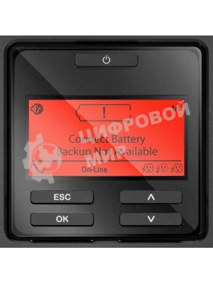 Источник бесперебойного питания APC Smart-UPS SRT SRT3000XLI 2700Вт 3000ВА черный