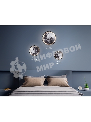 Настенно-потолочный светодиодный светильник Ambrella light FW11112 BK черный 25W LED 3000-6400K D400*38