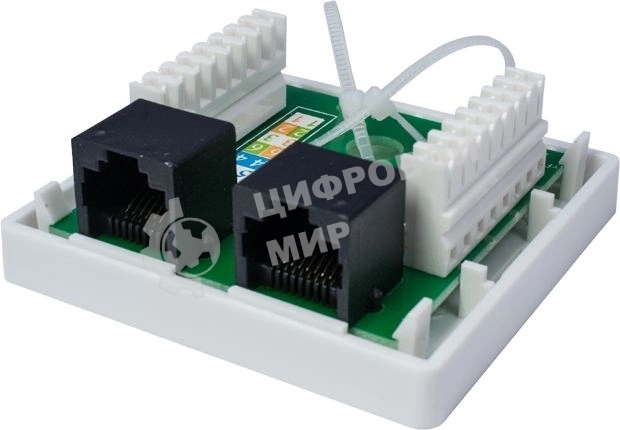 Компьютерная розетка 8P8C (RJ-45), UTP, Cat.6, 2 порта