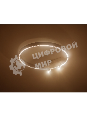 Потолочный светодиодный светильник Ambrella light FL5807/1+2 WH белый 40W 3000K/4200K/6400K D600*95 (без ПДУ)